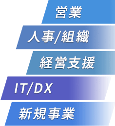 営業 人事/組織 経営支援 IT/DX 新規事業